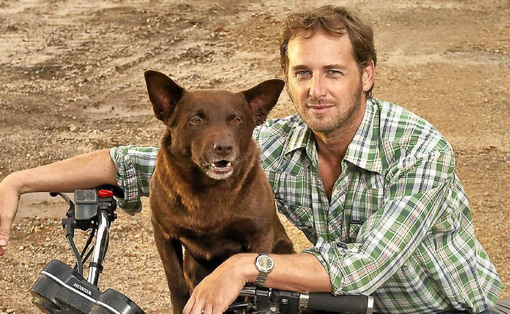 The Australian tearjerker Red Dog ranks number two in the top 10 movies that move men to tears. The Australian tearjerker Red Dog ranks number two in the top 10 movies that move men to tears.